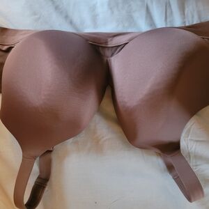 Cacique Brown Women's Bra